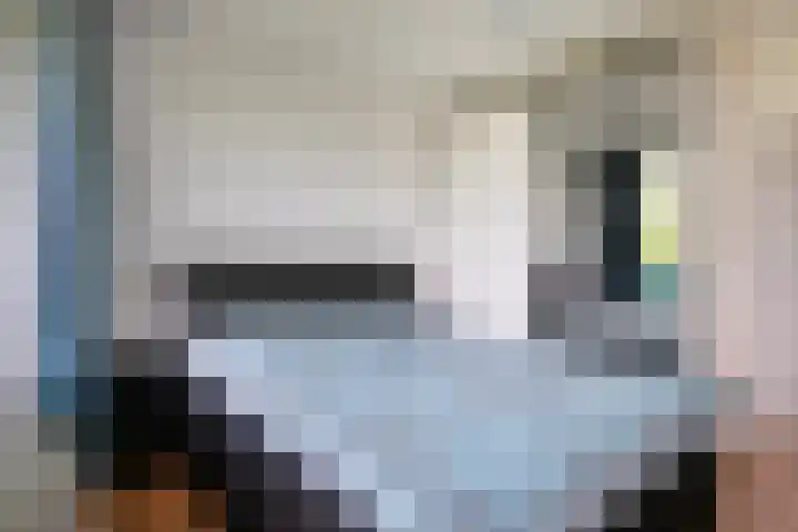 Belvédèrebos 230 Zoetermeer thumbnail 16