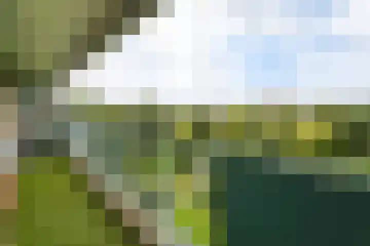 Belvédèrebos 230 Zoetermeer thumbnail 18