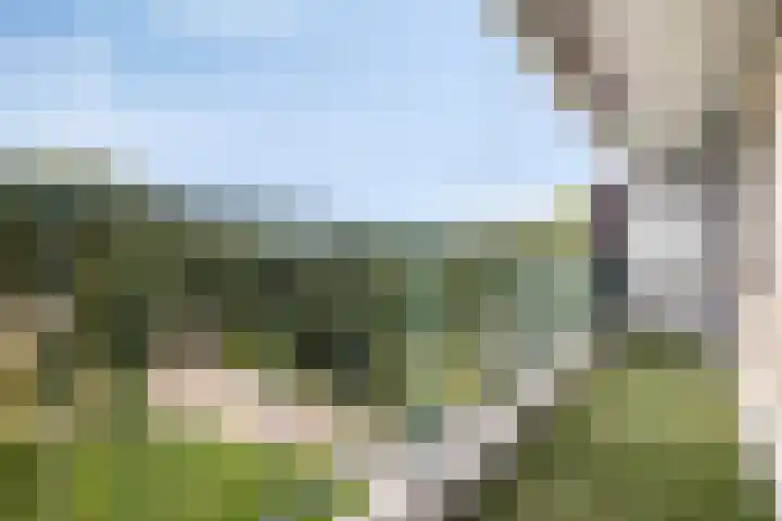 Belvédèrebos 230 Zoetermeer thumbnail 19