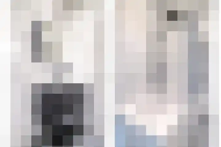 Belvédèrebos 230 Zoetermeer thumbnail 20