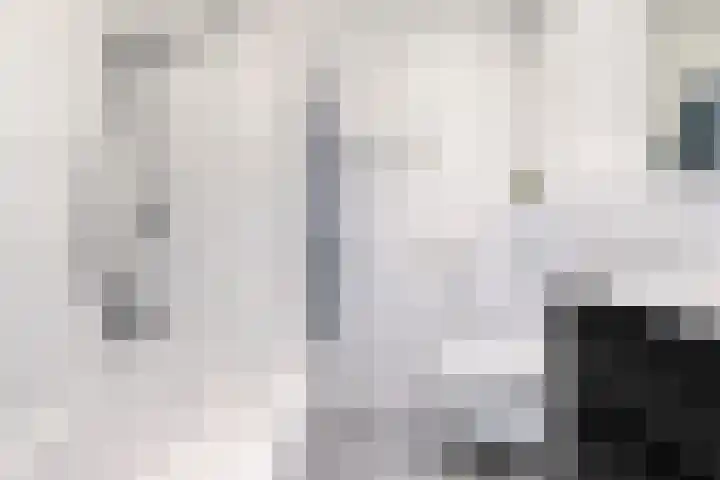 Belvédèrebos 230 Zoetermeer thumbnail 21