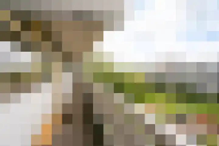 Belvédèrebos 230 Zoetermeer thumbnail 25