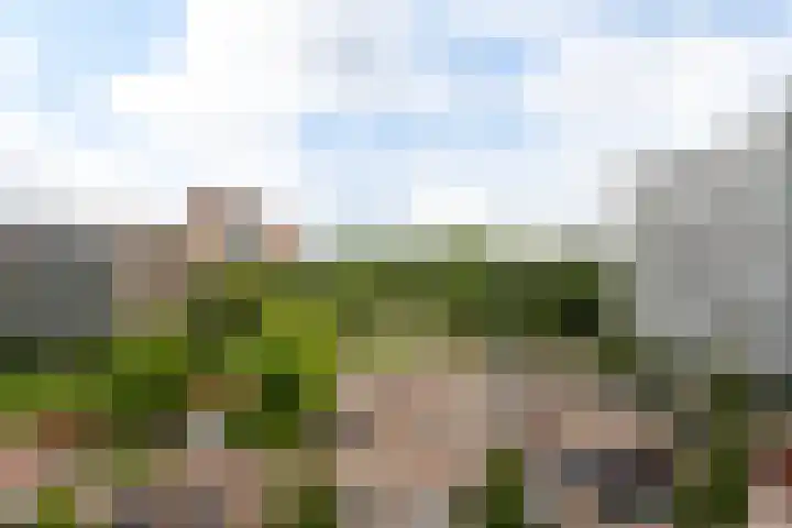 Belvédèrebos 230 Zoetermeer thumbnail 32