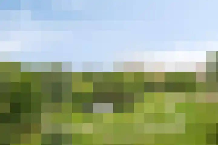 Belvédèrebos 230 Zoetermeer thumbnail 33
