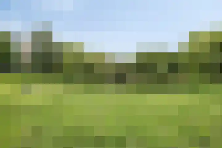 Belvédèrebos 230 Zoetermeer thumbnail 34