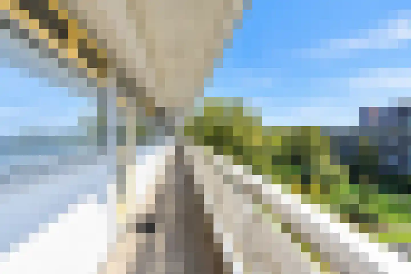 Belvédèrebos 234 Zoetermeer thumbnail 29