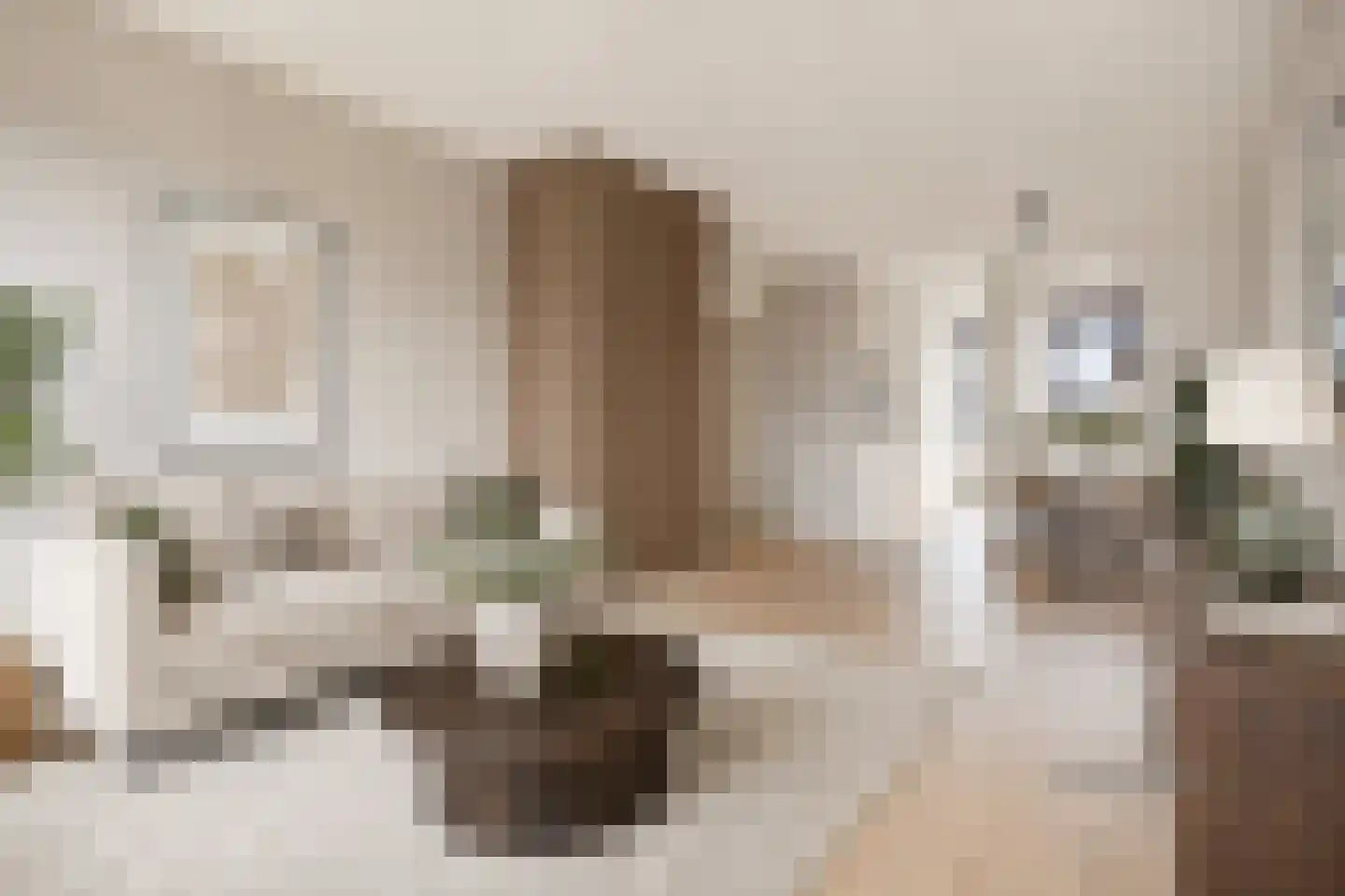 Belvédèrebos 234 Zoetermeer thumbnail 4