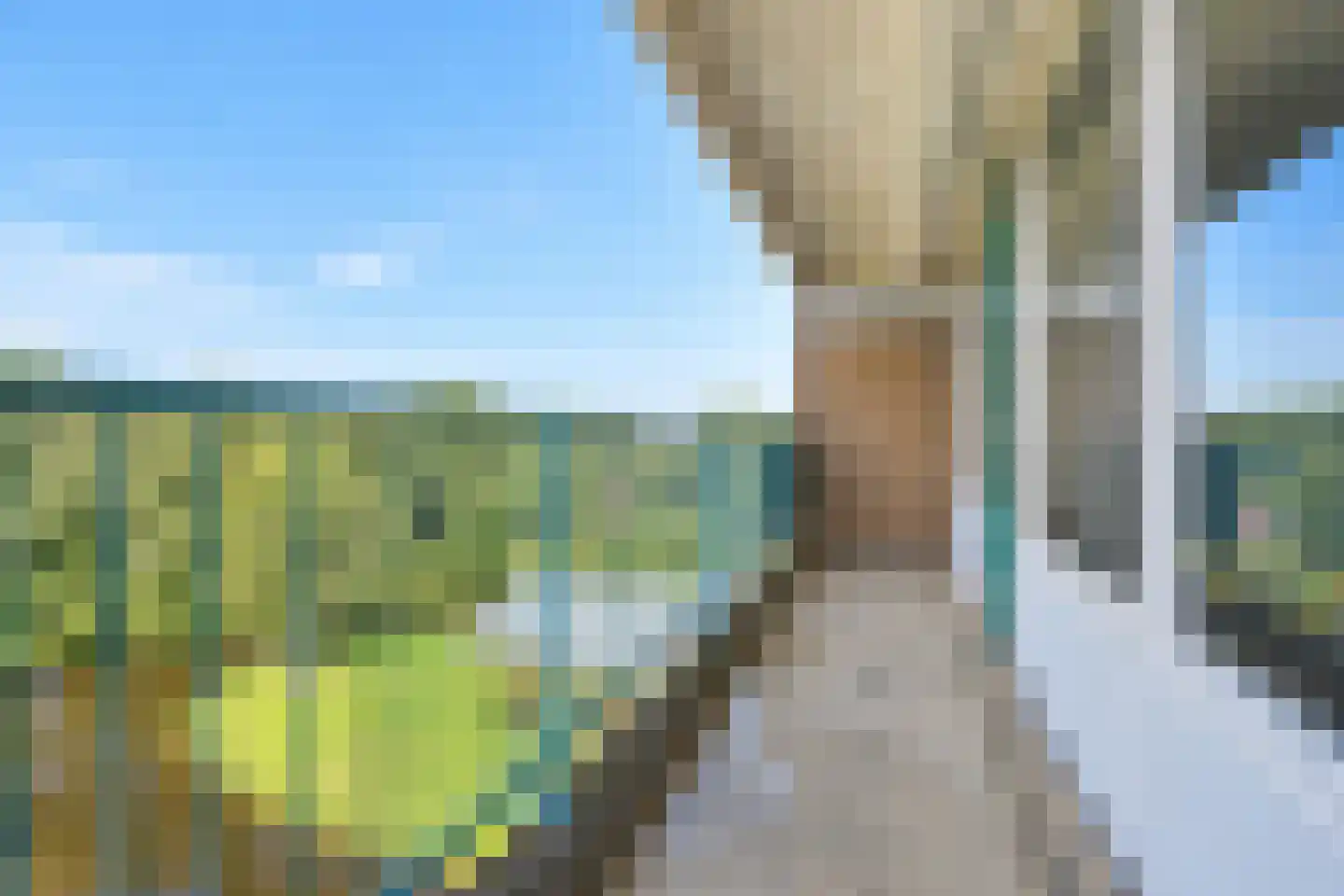 Belvédèrebos 234 Zoetermeer thumbnail 8