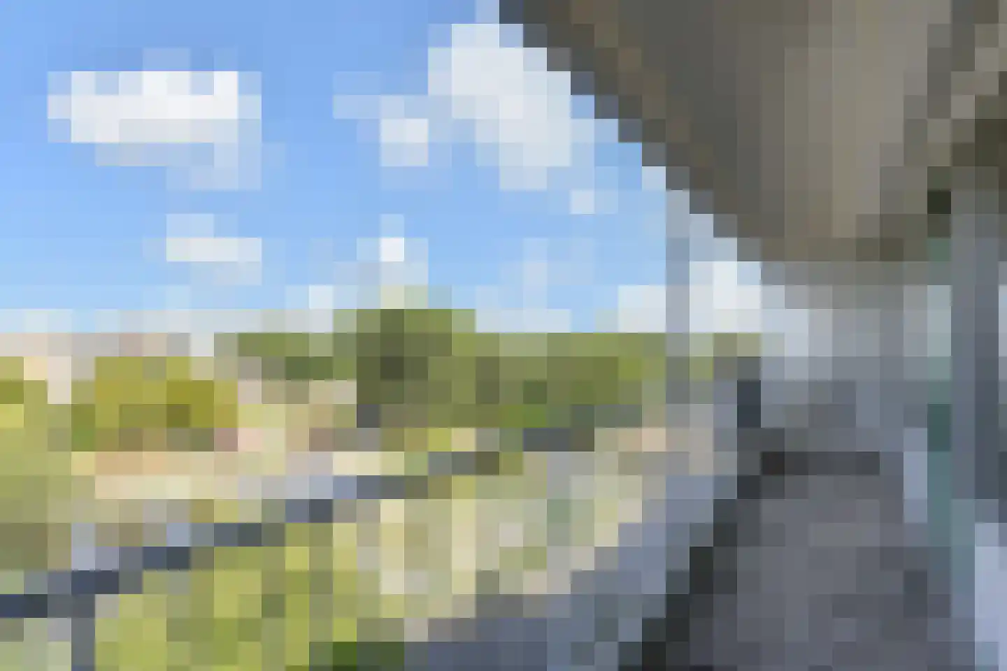Belvédèrebos 243 Zoetermeer thumbnail 26