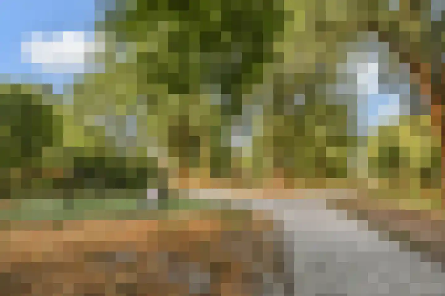 Belvédèrebos 243 Zoetermeer thumbnail 36