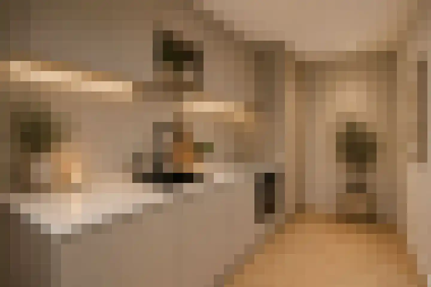 Belvédèrebos 243 Zoetermeer thumbnail 5