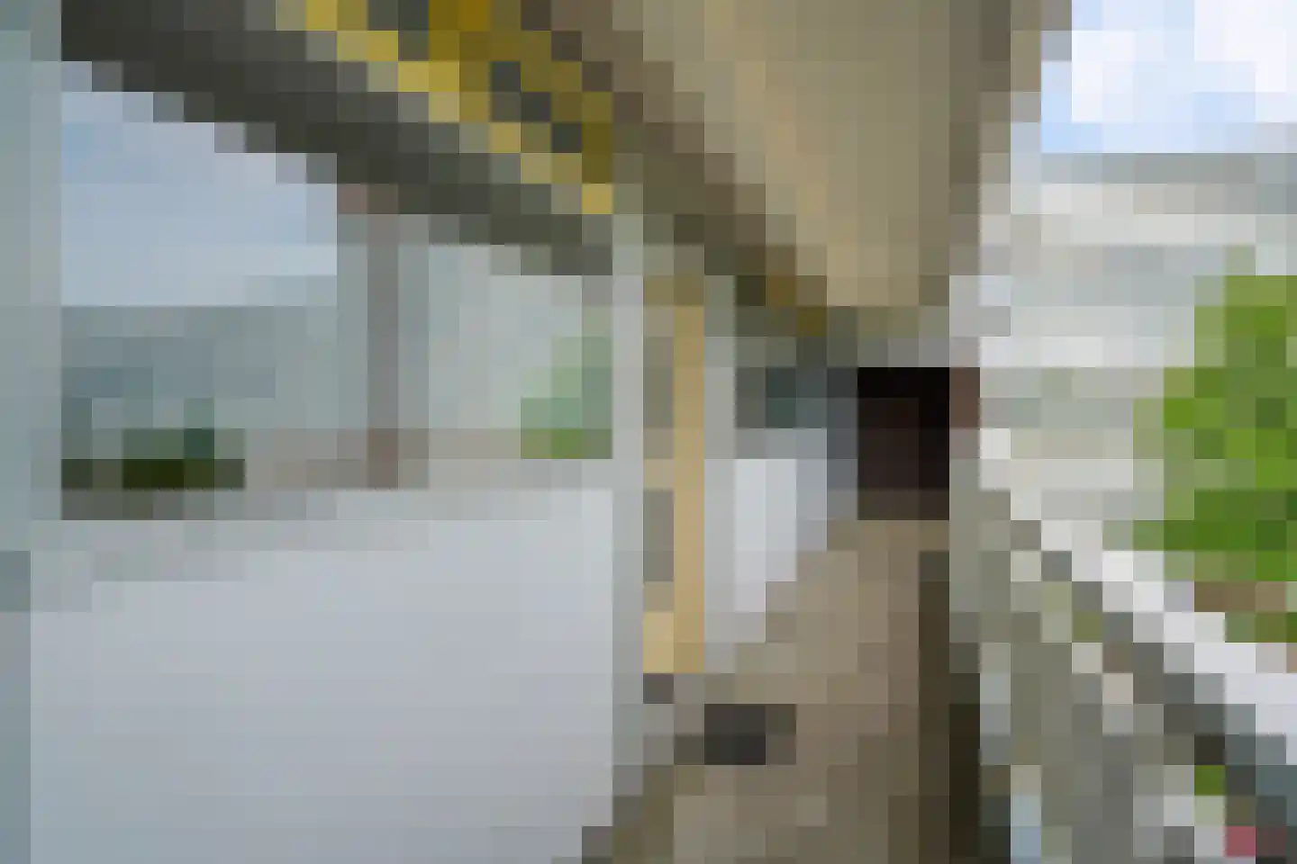 Belvédèrebos 35 Zoetermeer thumbnail 17