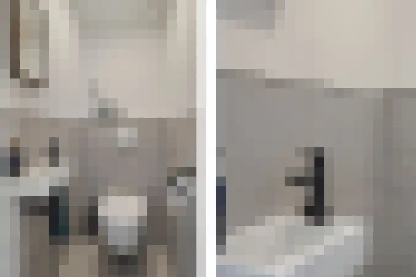 Belvédèrebos 35 Zoetermeer thumbnail 31