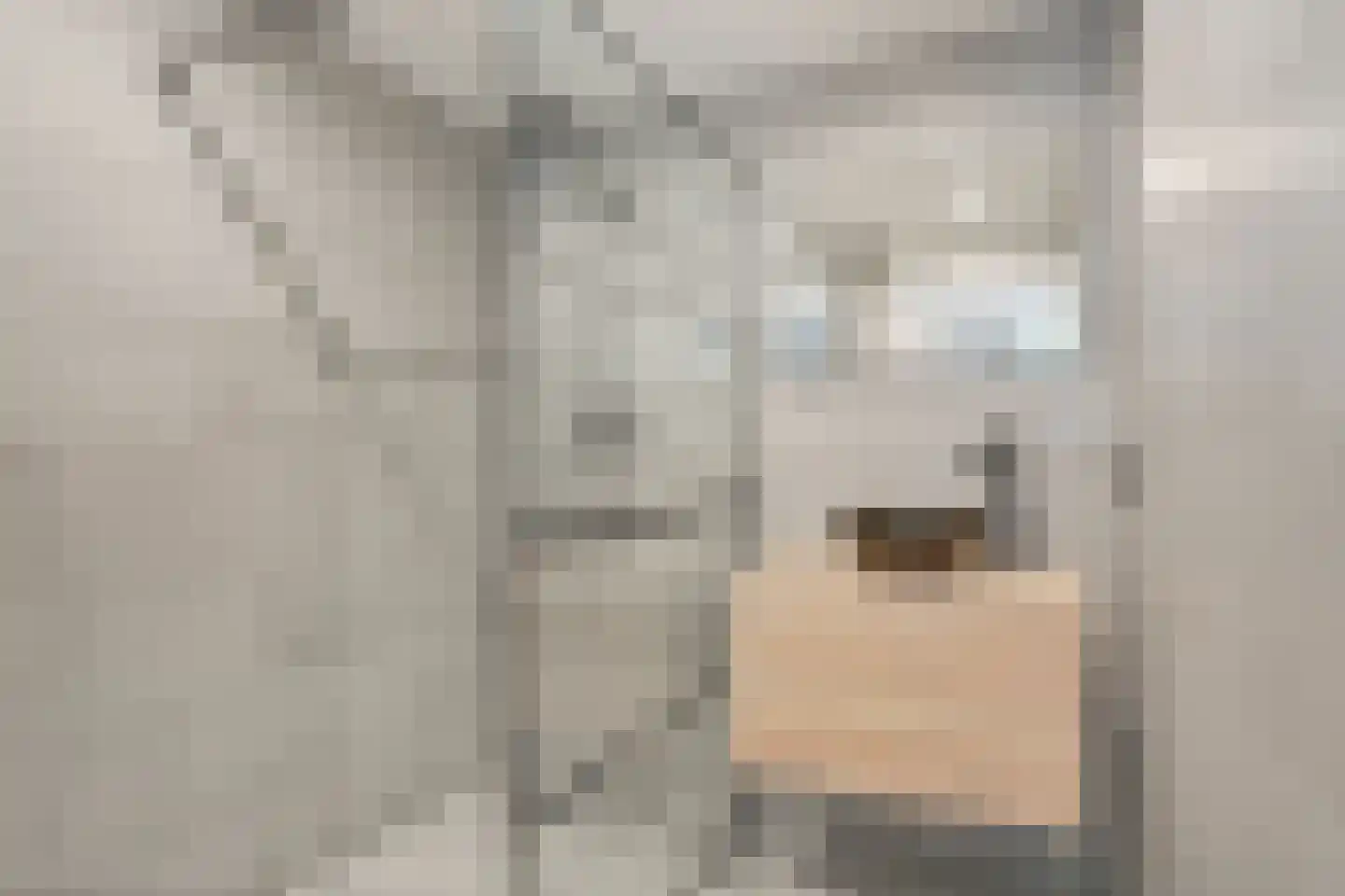 Belvédèrebos 35 Zoetermeer thumbnail 36