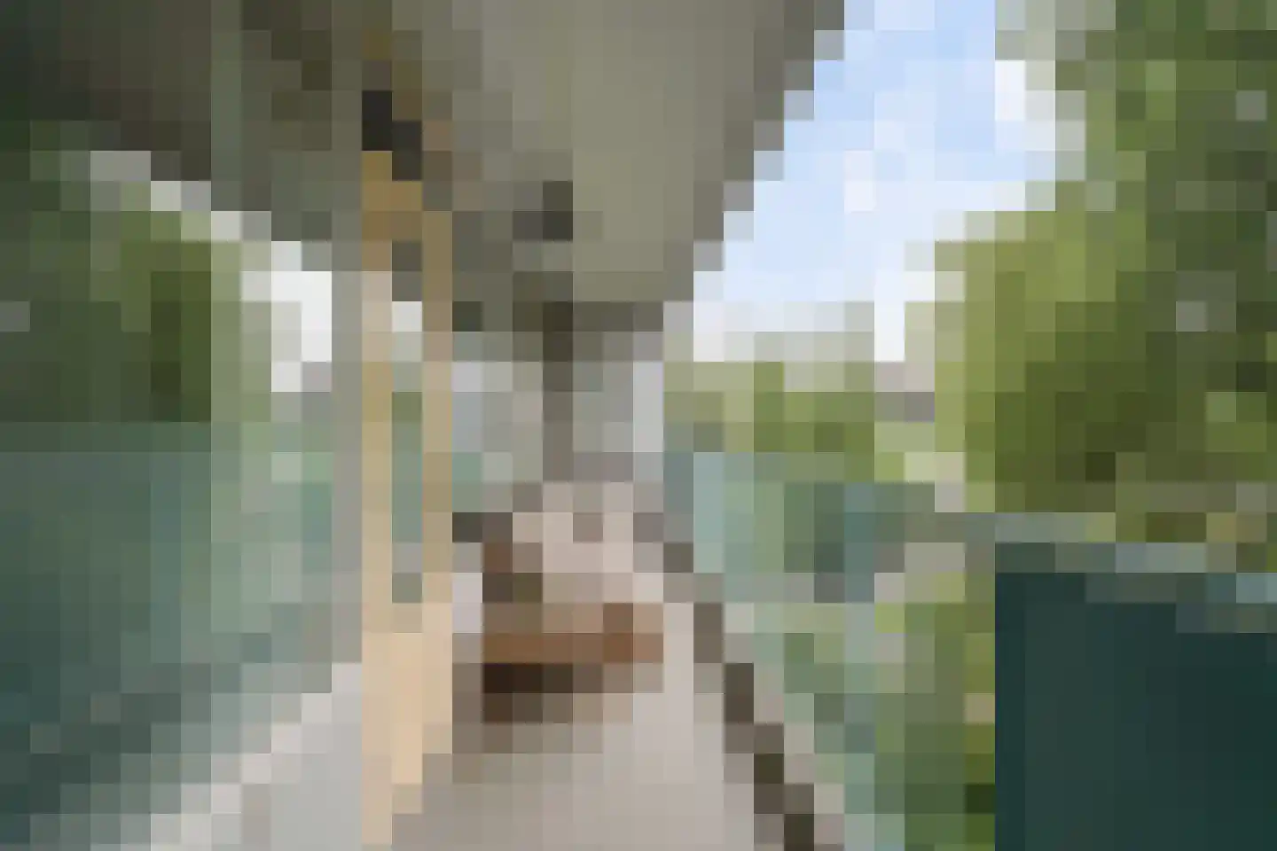 Belvédèrebos 35 Zoetermeer thumbnail 43