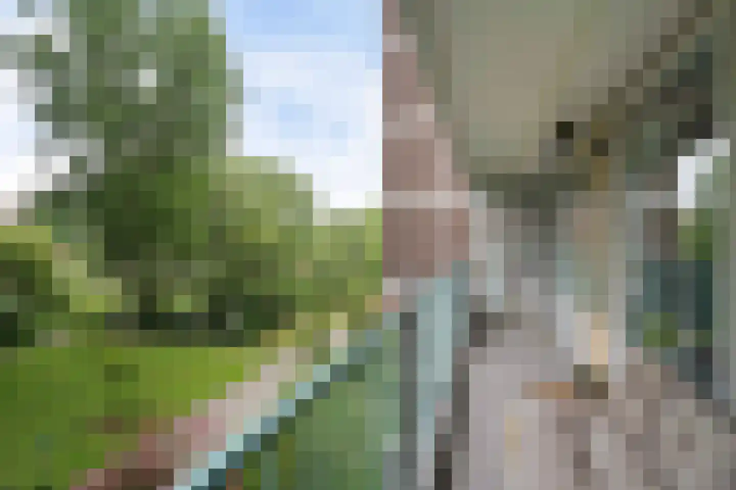 Belvédèrebos 35 Zoetermeer thumbnail 44