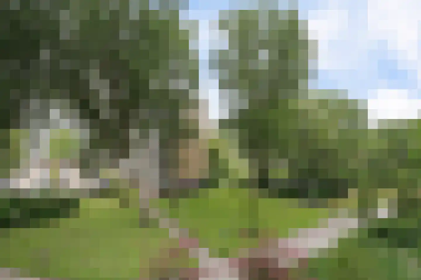 Belvédèrebos 35 Zoetermeer thumbnail 46
