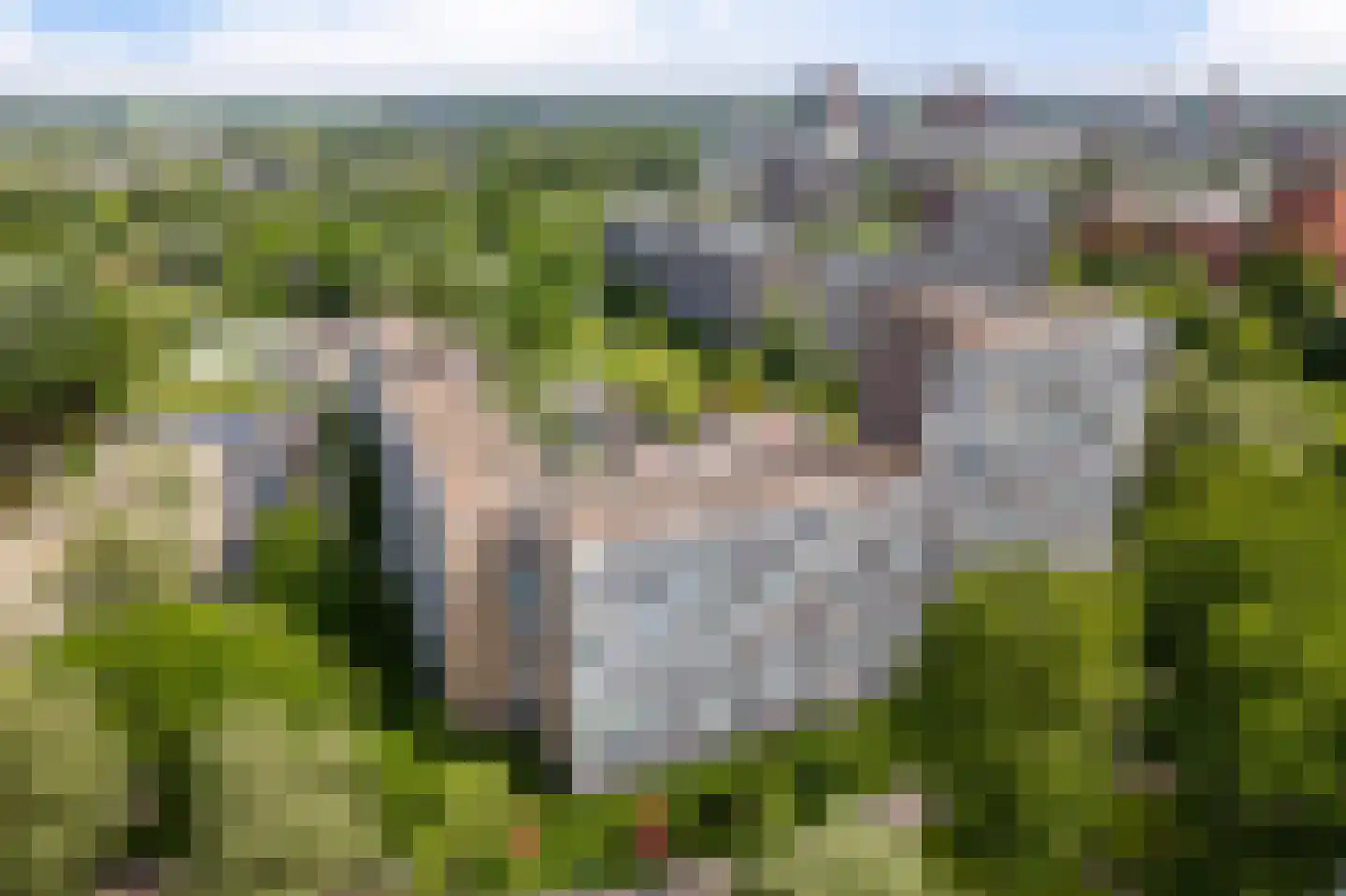 Belvédèrebos 35 Zoetermeer thumbnail 9