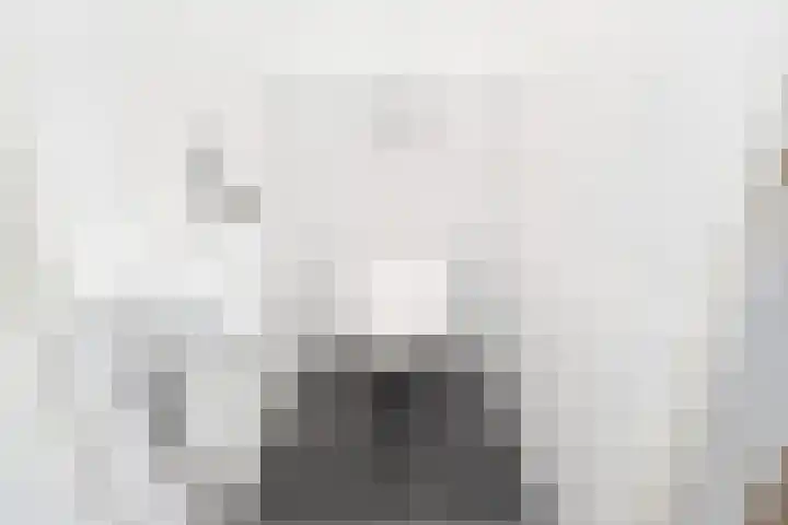 Belvédèrebos 41 Zoetermeer thumbnail 16