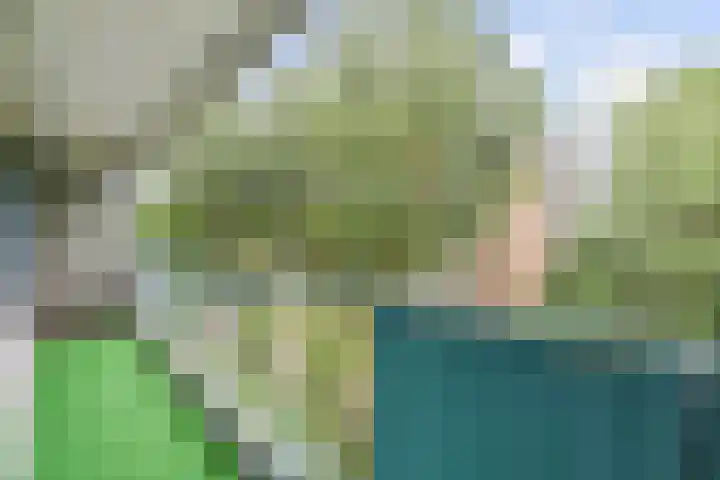 Belvédèrebos 41 Zoetermeer thumbnail 22