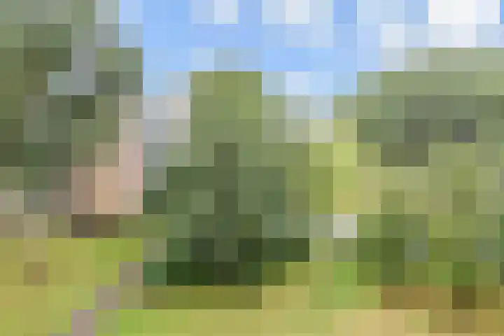Belvédèrebos 41 Zoetermeer thumbnail 23