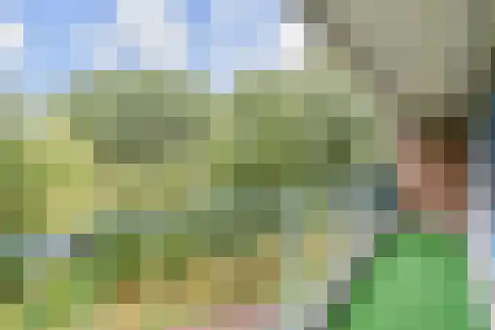 Belvédèrebos 41 Zoetermeer thumbnail 24