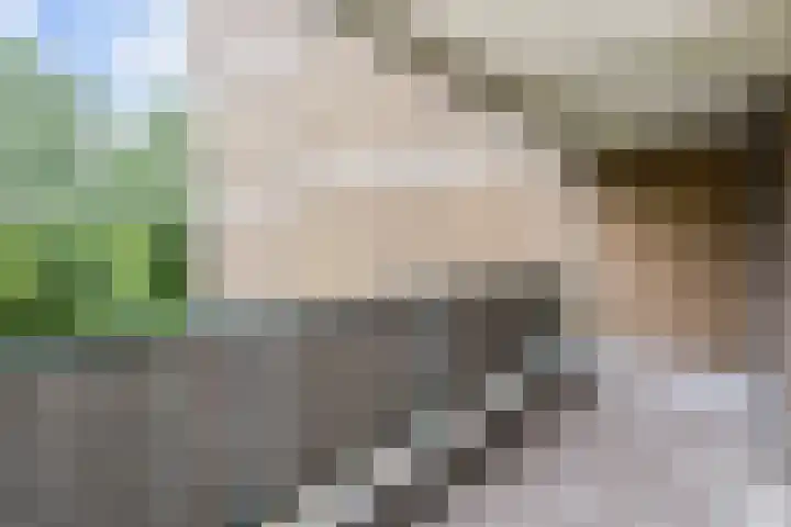 Belvédèrebos 41 Zoetermeer thumbnail 32