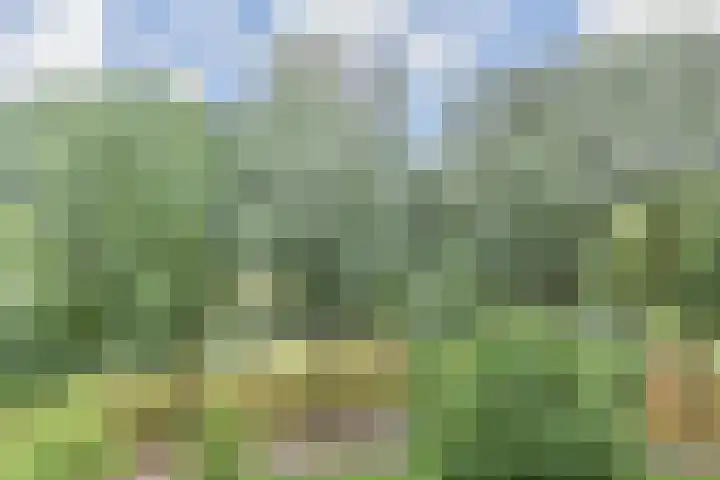 Belvédèrebos 41 Zoetermeer thumbnail 33