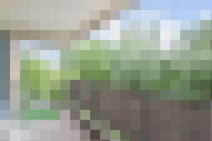 Belvédèrebos 41 Zoetermeer thumbnail 34