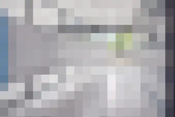 Belvédèrebos 41 Zoetermeer thumbnail 4