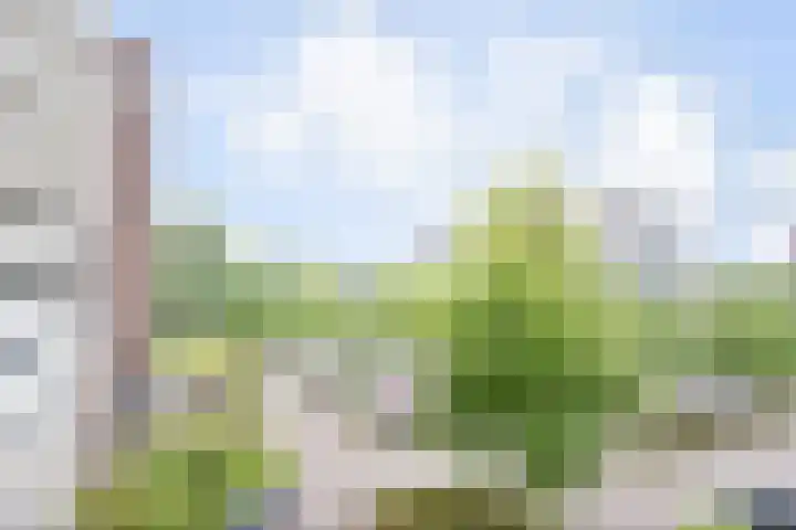 Belvédèrebos 41 Zoetermeer thumbnail 7