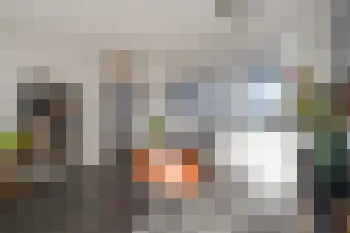 Belvédèrebos 46 Zoetermeer thumbnail 10