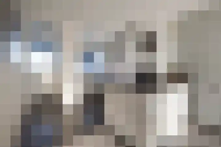 Belvédèrebos 46 Zoetermeer thumbnail 12