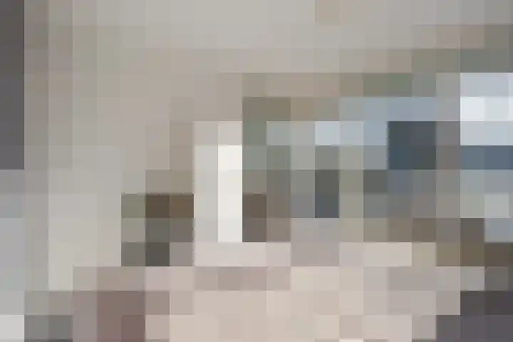Belvédèrebos 46 Zoetermeer thumbnail 20