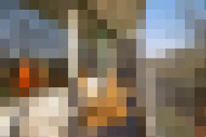 Belvédèrebos 46 Zoetermeer thumbnail 24