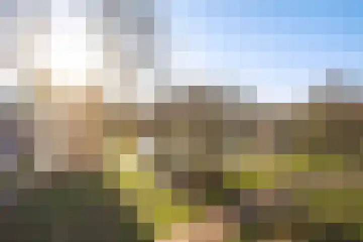 Belvédèrebos 46 Zoetermeer thumbnail 26