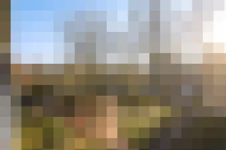Belvédèrebos 46 Zoetermeer thumbnail 27