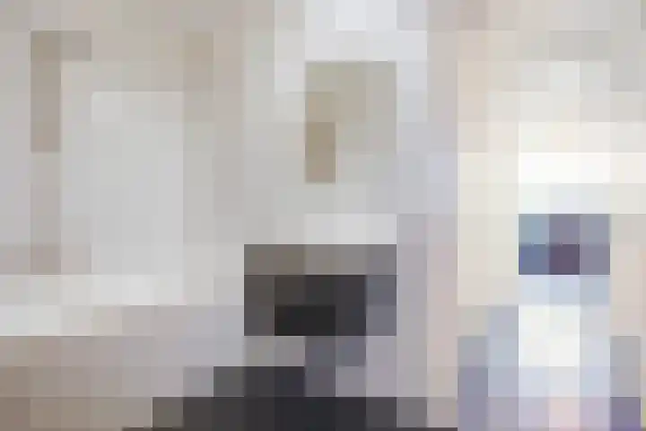 Belvédèrebos 46 Zoetermeer thumbnail 32