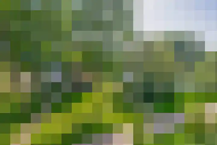 Belvédèrebos 46 Zoetermeer thumbnail 46