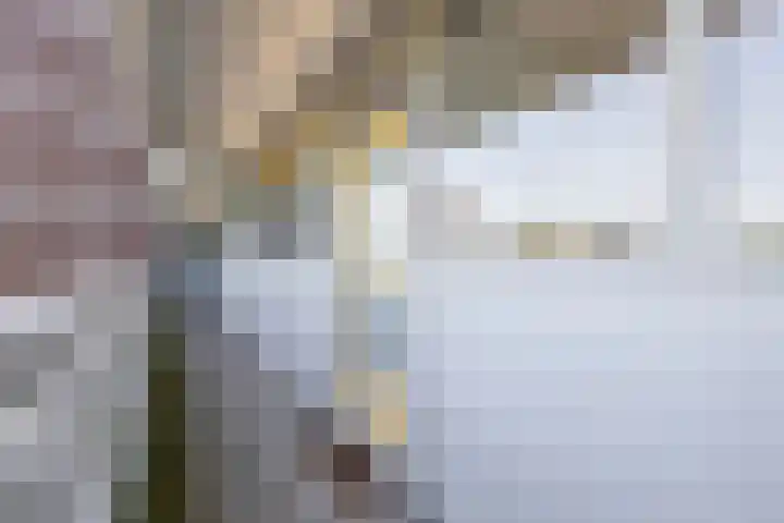 Belvédèrebos 47 Zoetermeer thumbnail 11