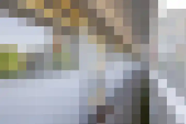 Belvédèrebos 47 Zoetermeer thumbnail 12