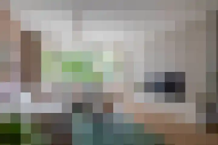 Belvédèrebos 47 Zoetermeer thumbnail 18