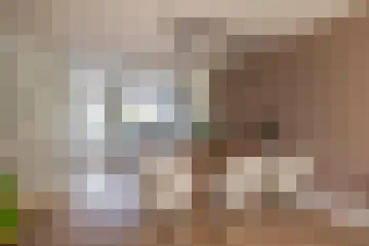 Belvédèrebos 47 Zoetermeer thumbnail 20