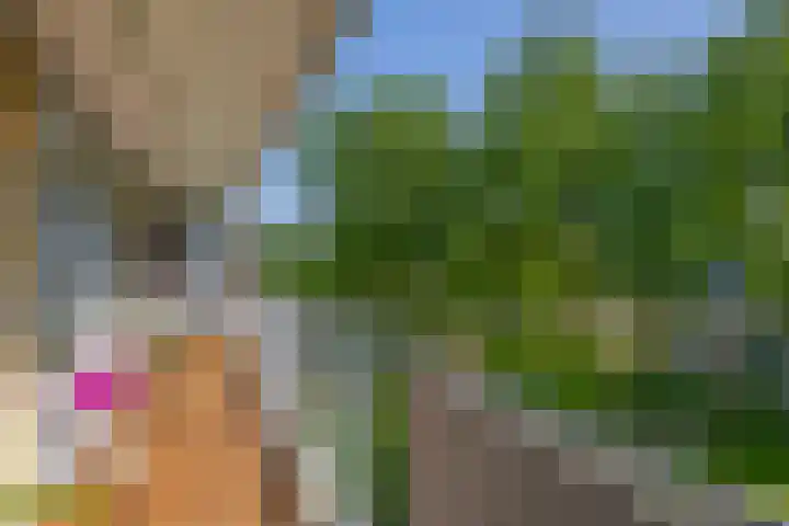 Belvédèrebos 47 Zoetermeer thumbnail 27