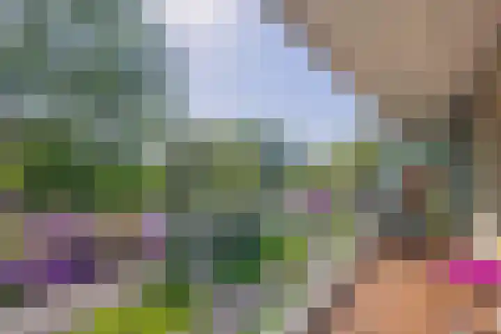 Belvédèrebos 47 Zoetermeer thumbnail 28