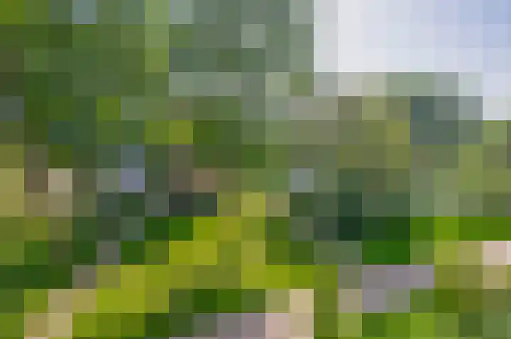 Belvédèrebos 47 Zoetermeer thumbnail 29