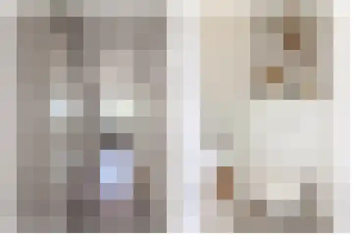 Belvédèrebos 47 Zoetermeer thumbnail 35