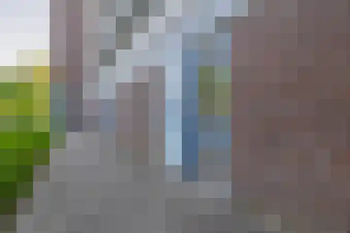 Belvédèrebos 47 Zoetermeer thumbnail 41