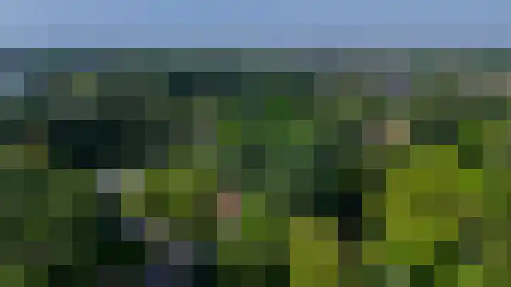 Belvédèrebos 47 Zoetermeer thumbnail 48