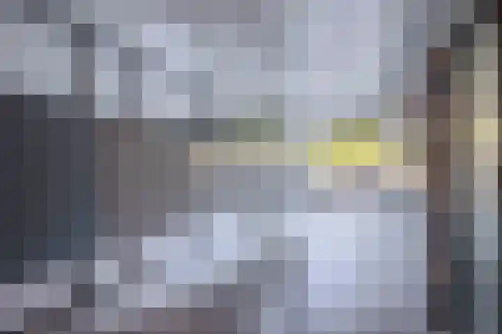 Belvédèrebos 47 Zoetermeer thumbnail 8